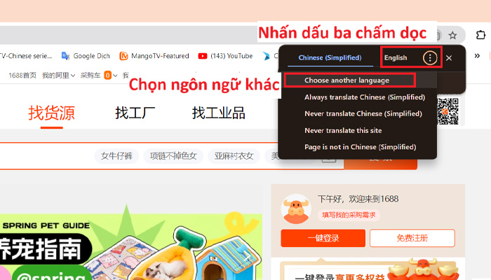 chọn “Choose another language”