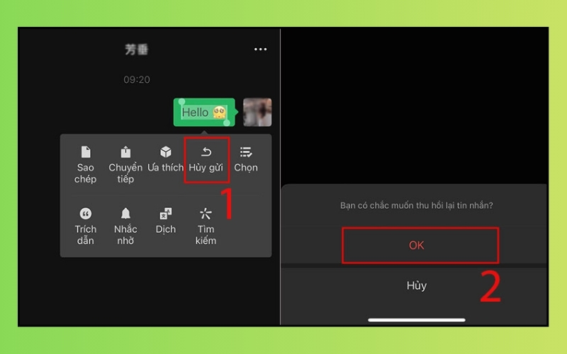 chọn Hủy gửi hoặc Recall rồi nhấn OK