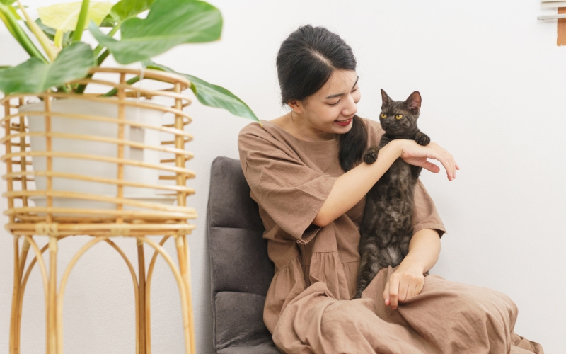 Dịch vụ trông giữ thú cưng chuyên nghiệp