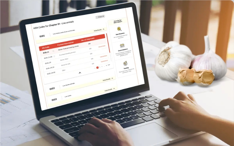 Xác định mã HS code tỏi Trung Quốc