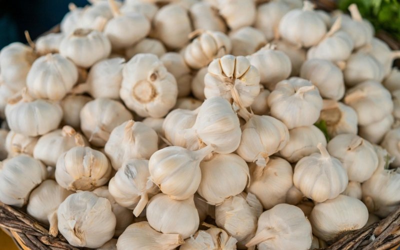 Quy định nhập khẩu tỏi Trung Quốc vào Việt Nam