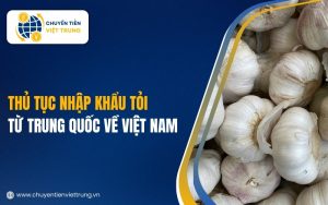 thủ tục nhập khẩu tỏi Trung Quốc