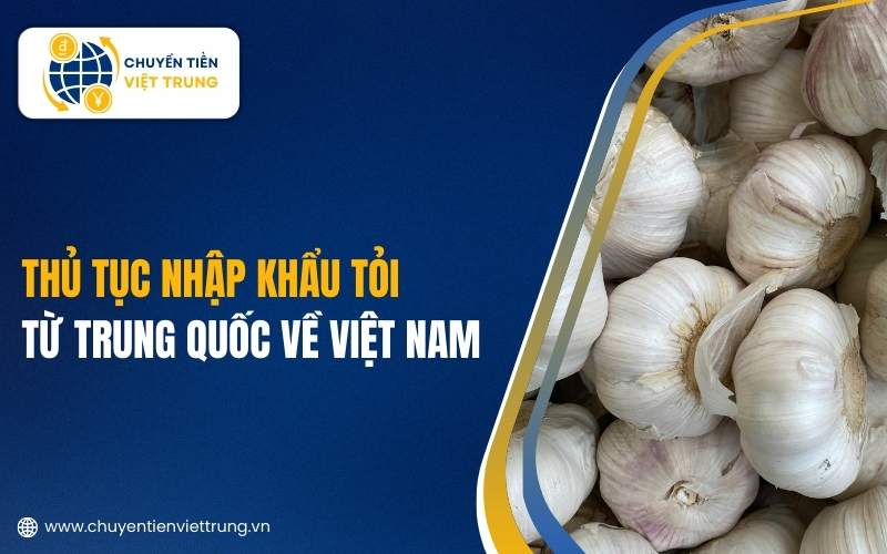 thủ tục nhập khẩu tỏi Trung Quốc
