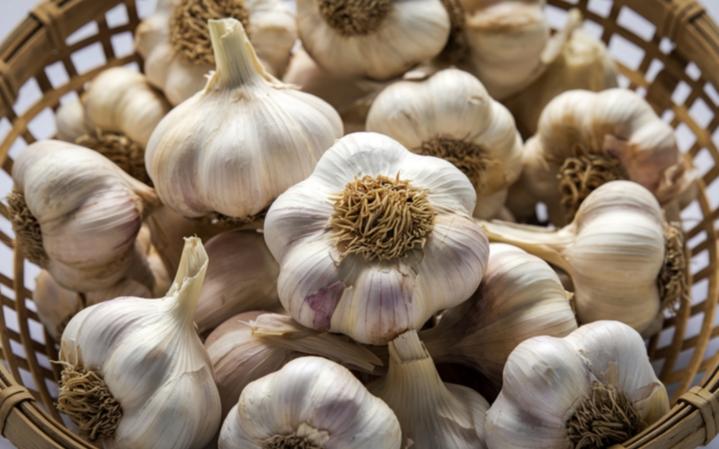 Vận chuyển về kho, bảo quản và phân phối ra thị trường