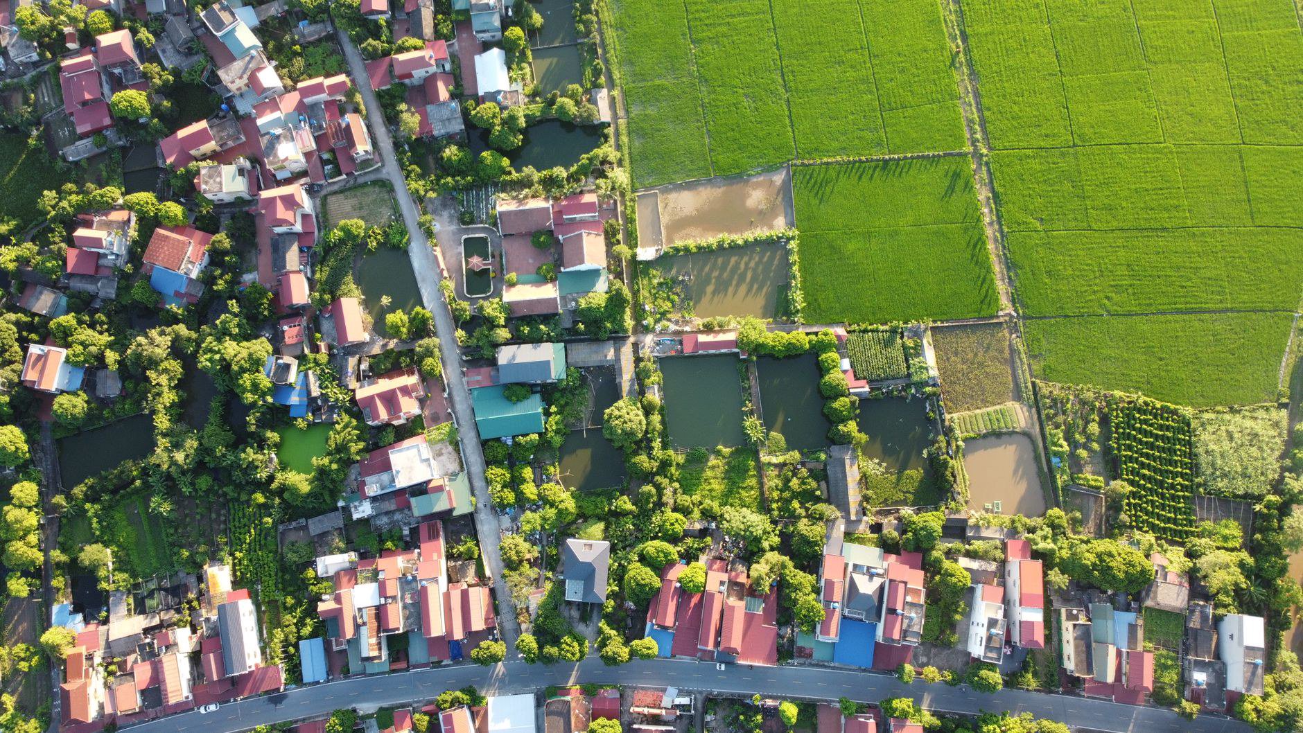 Khái Niệm Cơ Bản: Tiểu Ngạch Là Gì